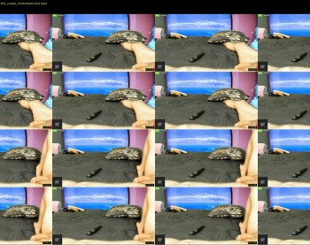 deeplyasian — 4 minute Chaturbate couple cam show recording, 720p, Jun 28, 2022