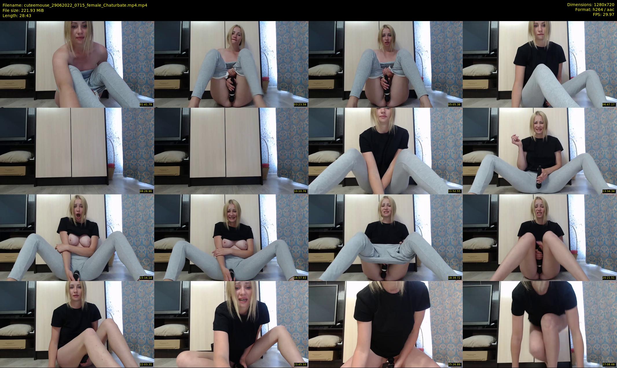 cuteemouse — 29 minute Chaturbate female cam show recording, 720p, Jun 29, 2022