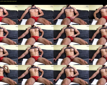 js_ihavecookie — 48 minute Chaturbate male cam show recording, 1080p, Jun 30, 2022