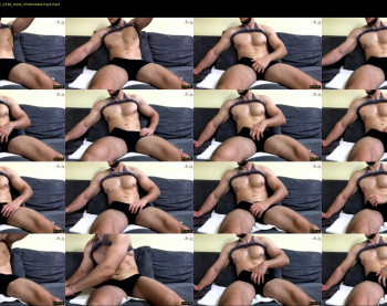 js_ihavecookie — 15 minute Chaturbate male cam show recording, 1080p, Jun 30, 2022