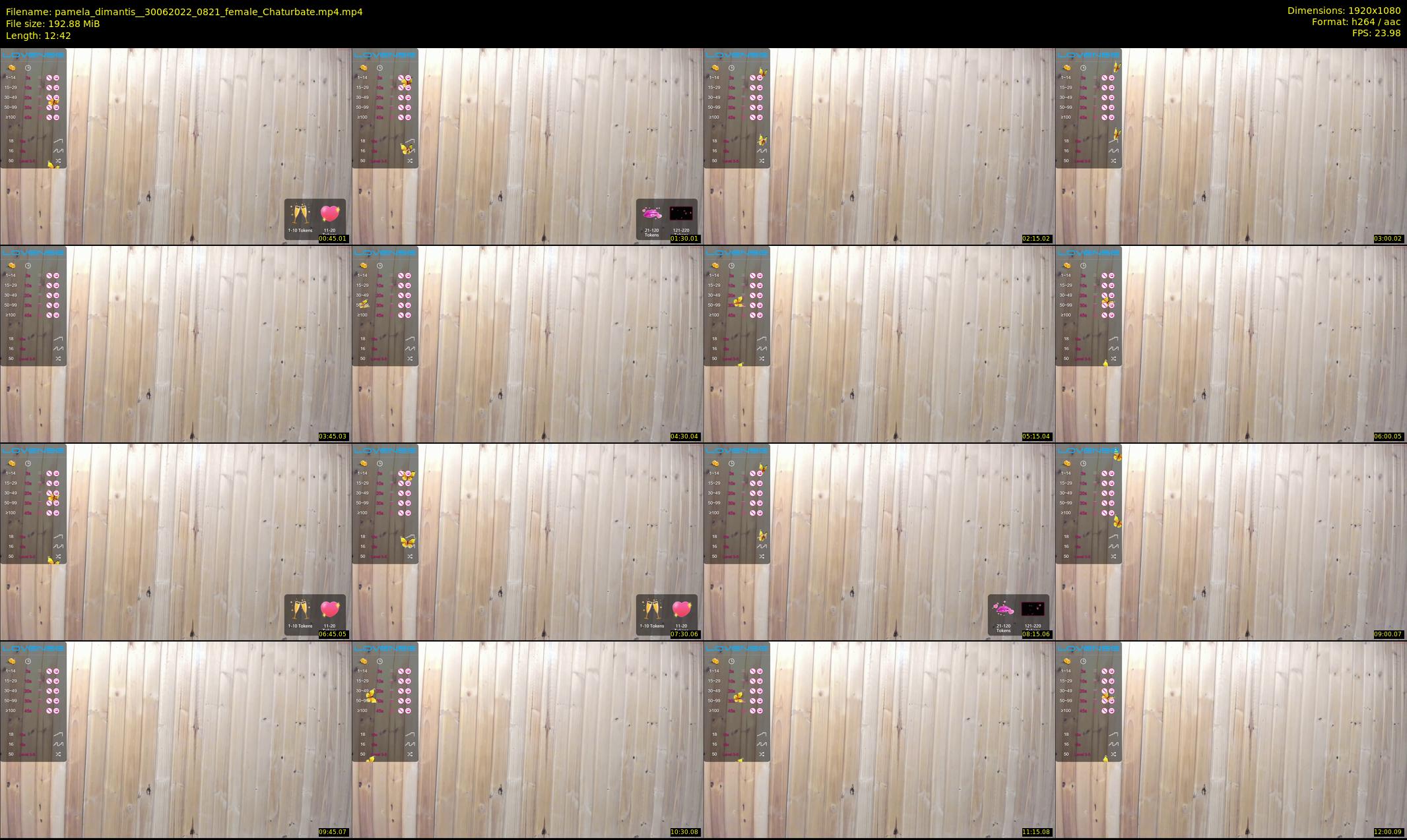 pamela_dimantis_ — 13 minute Chaturbate female cam show recording, 1080p, Jun 30, 2022