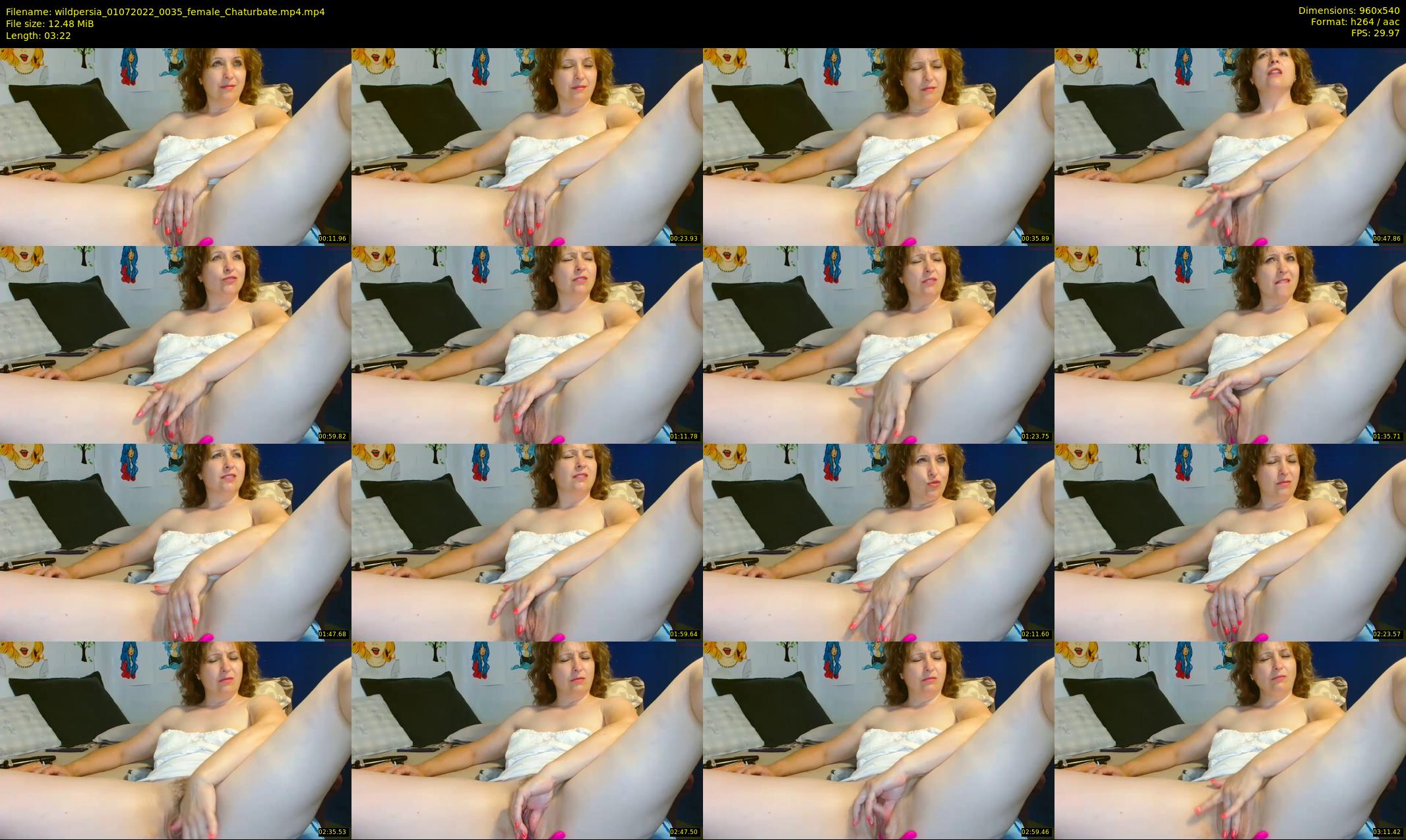 wildpersia — 4 minute Chaturbate female cam show recording, 480p, Jul 1, 2022