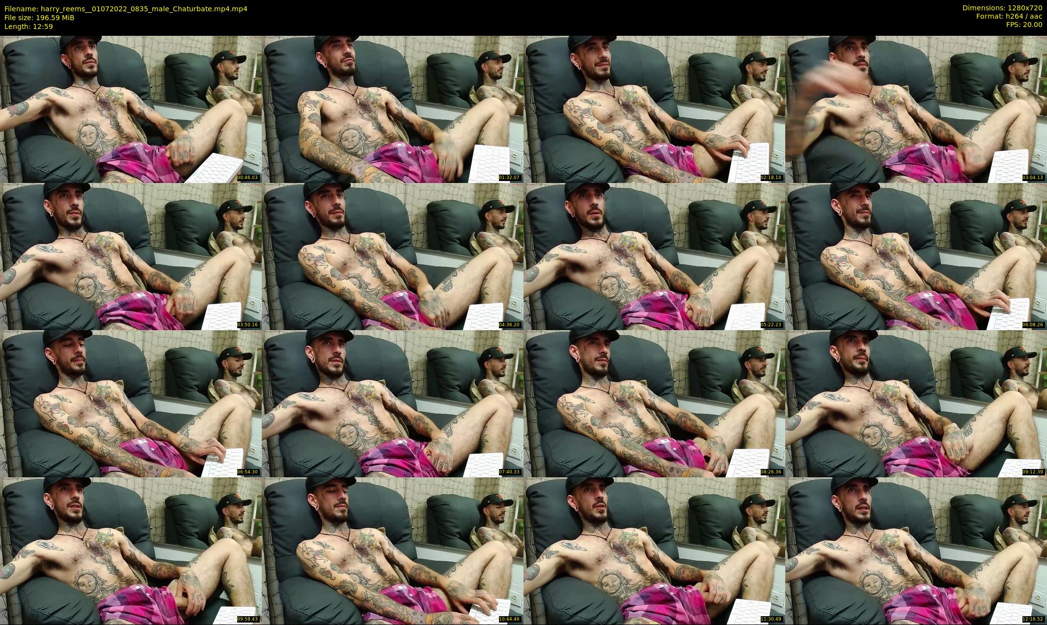 harry_reems_ — 13 minute Chaturbate male cam show recording, 720p, Jul 1, 2022