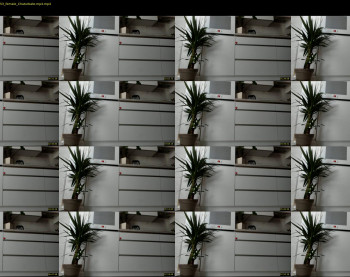 meryfoxxx — 9 minute Chaturbate female cam show recording, 720p, Jul 2, 2022
