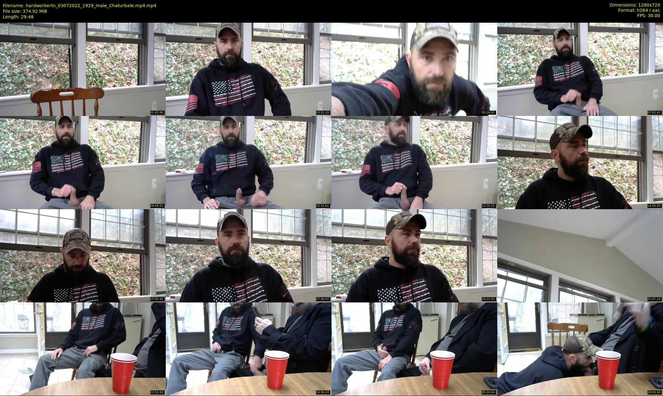 hardworkertn — 30 minute Chaturbate male cam show recording, 720p, Jul 3, 2022