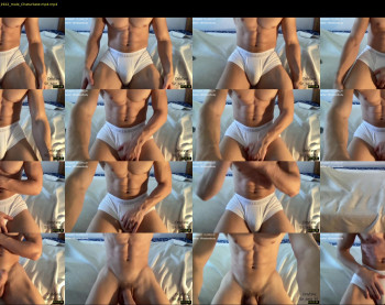 bestdick1991 — 38 minute Chaturbate male cam show recording, 720p, Jul 7, 2022