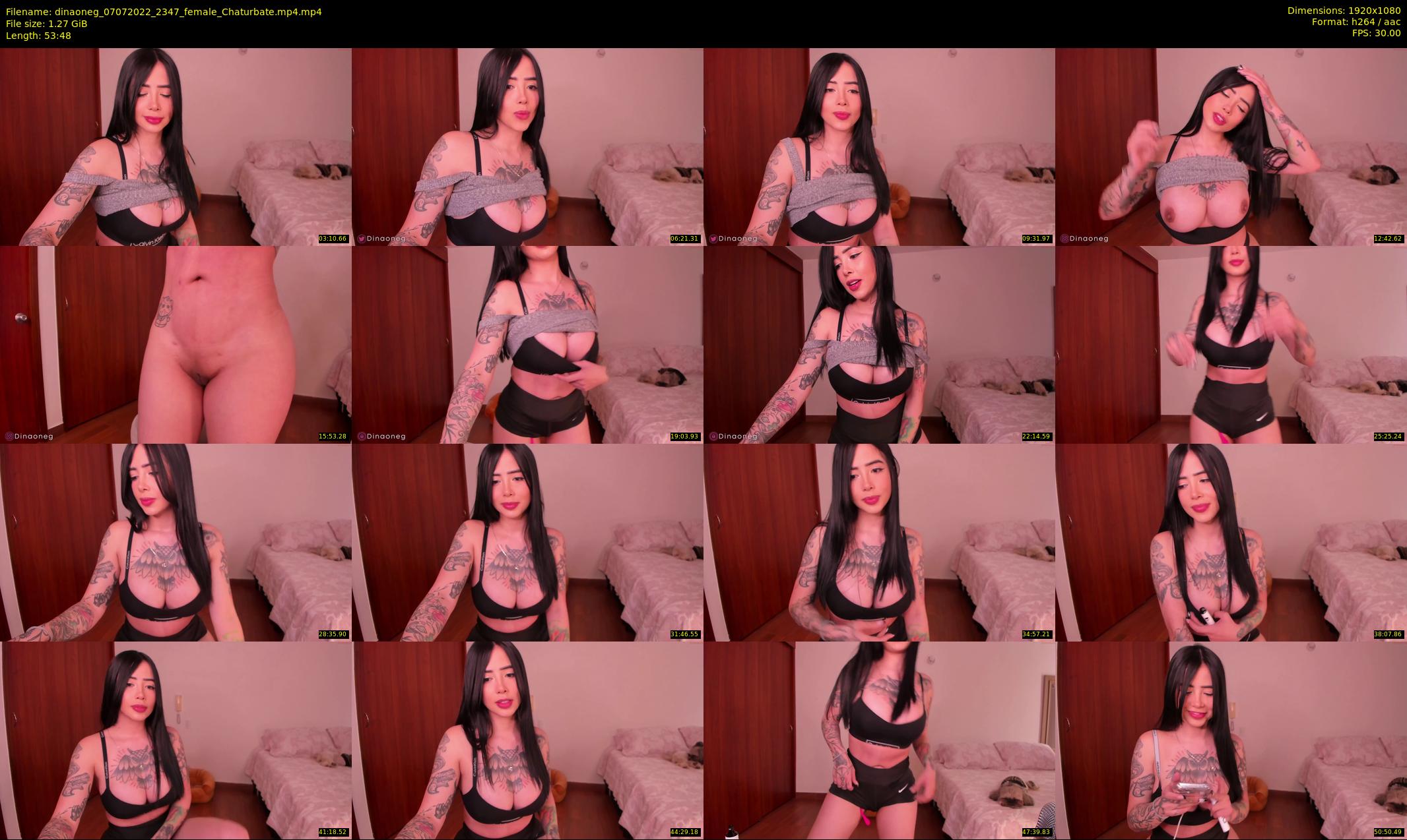 dinaoneg — 54 minute Chaturbate female cam show recording, 1080p, Jul 7, 2022