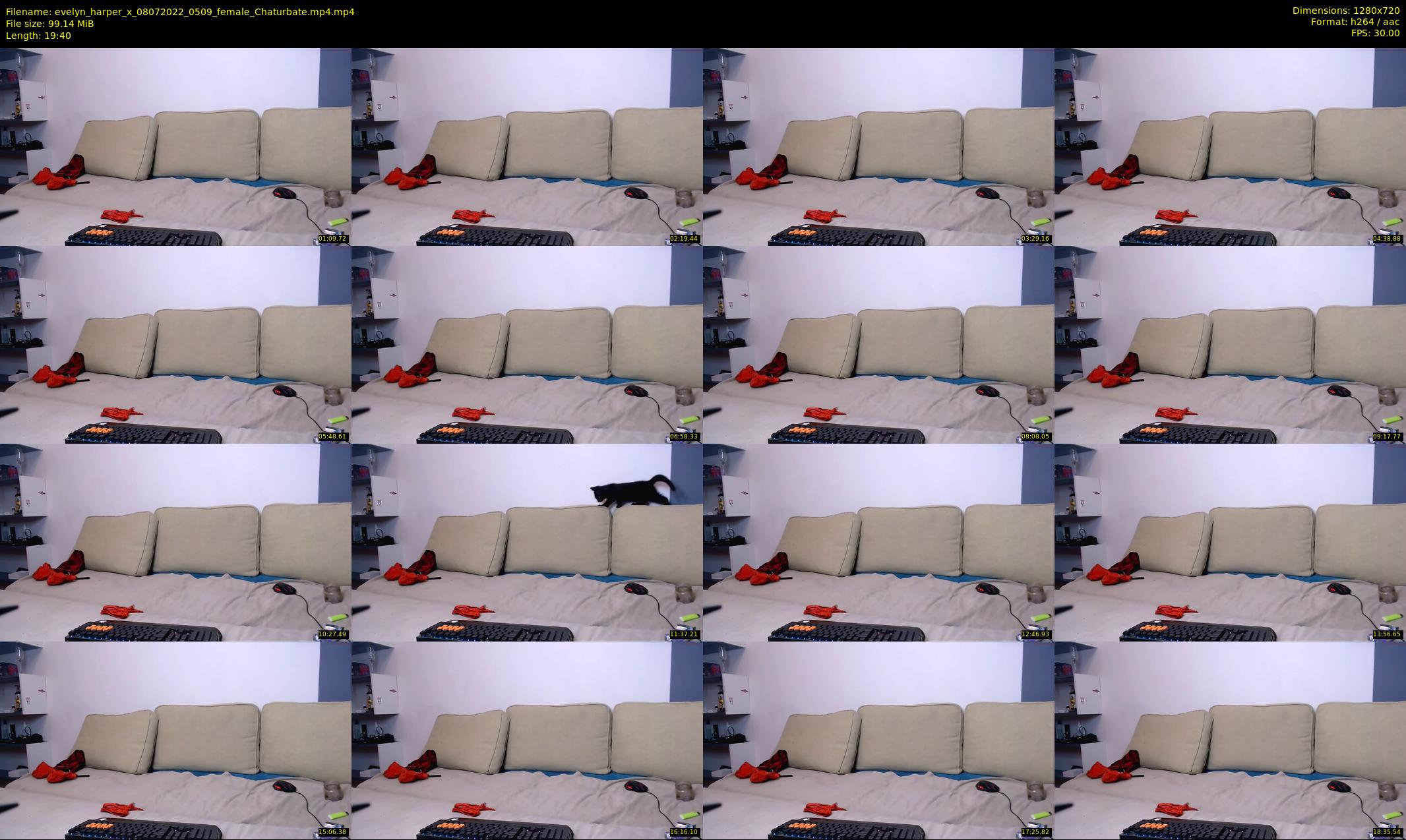 evelyn_harper_x — 20 minute Chaturbate female cam show recording, 720p, Jul 8, 2022
