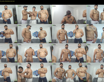 willhottwil1 — 29 minute Chaturbate couple cam show recording, 1080p, Jul 8, 2022