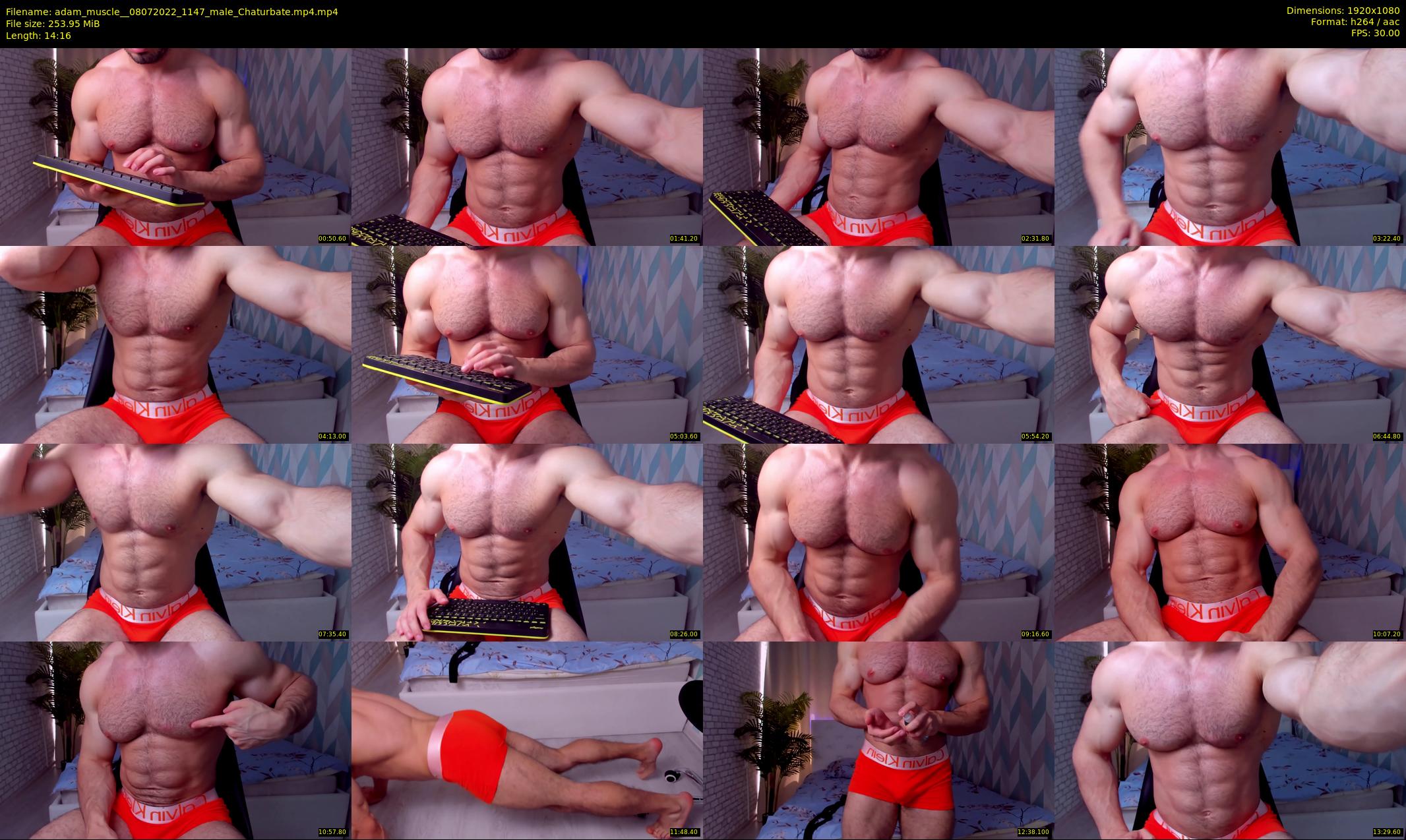adam_muscle_ — 15 minute Chaturbate male cam show recording, 1080p, Jul 8, 2022