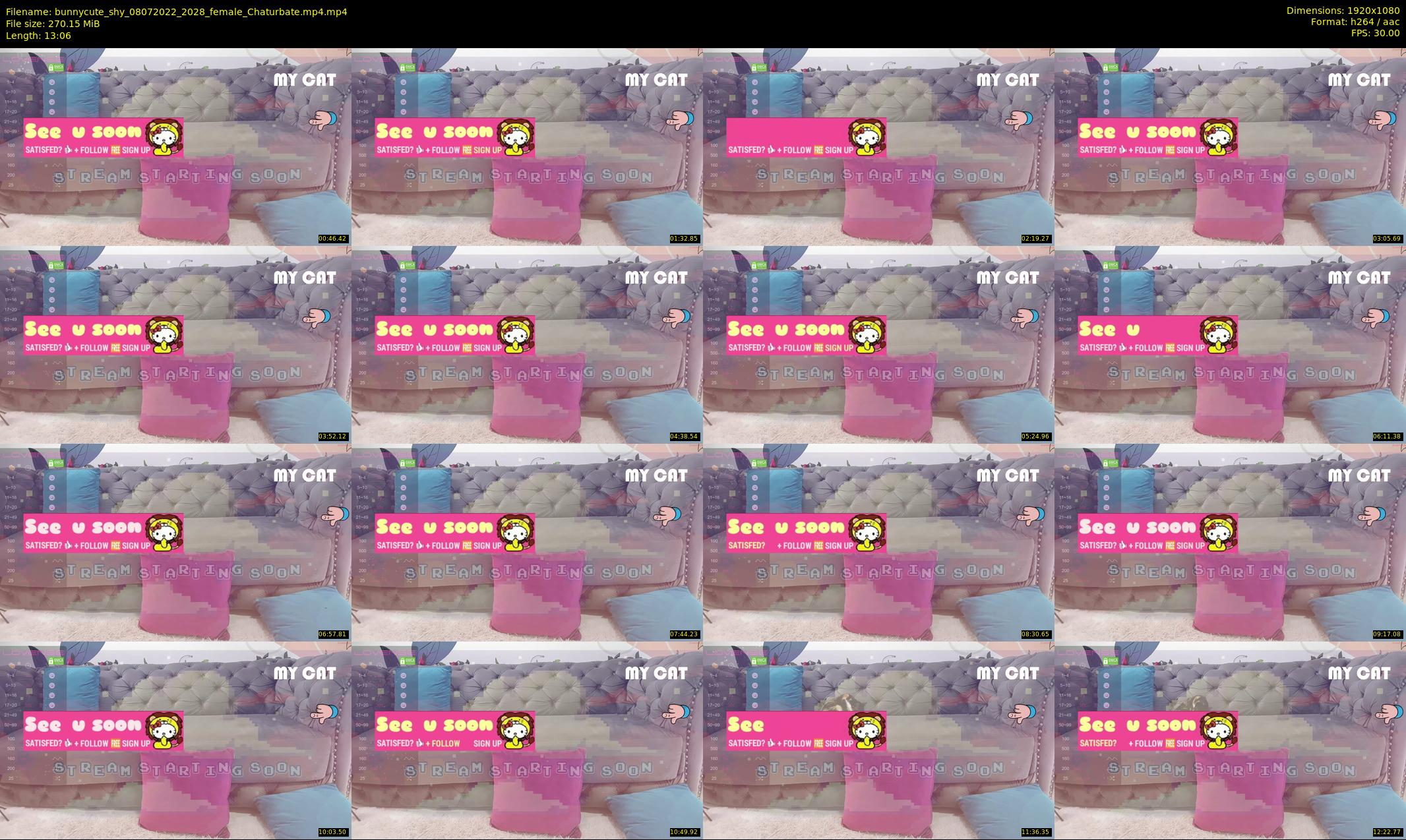 bunnycute_shy — 14 minute Chaturbate female cam show recording, 1080p, Jul 8, 2022