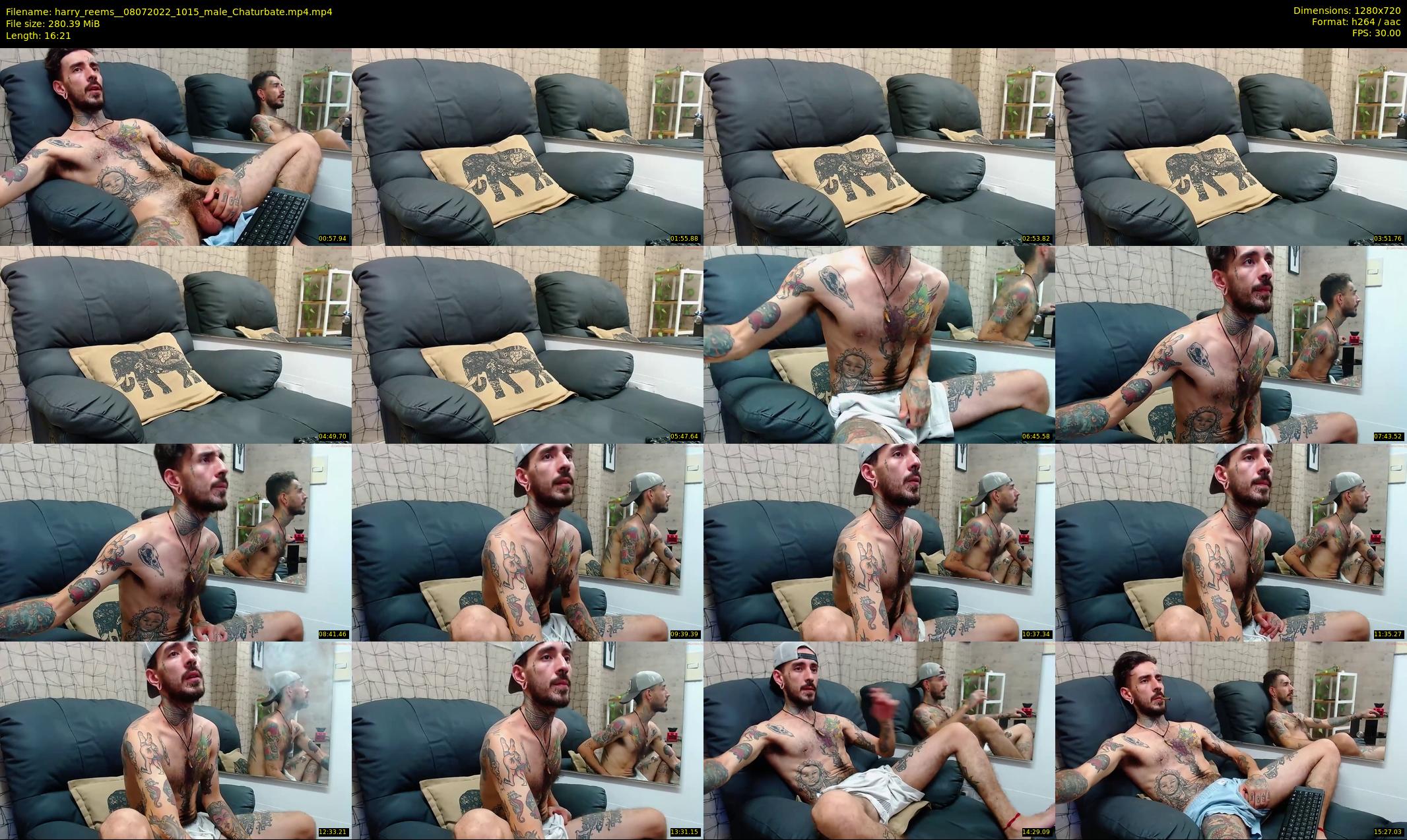 harry_reems_ — 17 minute Chaturbate male cam show recording, 720p, Jul 8, 2022