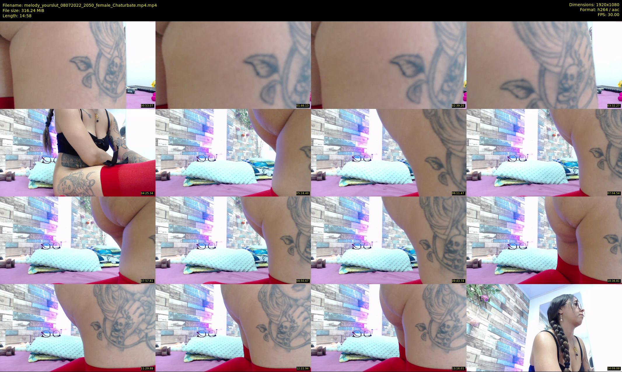 melody_yourslut — 15 minute Chaturbate female cam show recording, 1080p, Jul 8, 2022