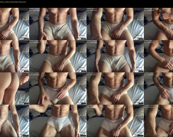bestdick1991 — 81 minute Chaturbate male cam show recording, 720p, Jul 11, 2022