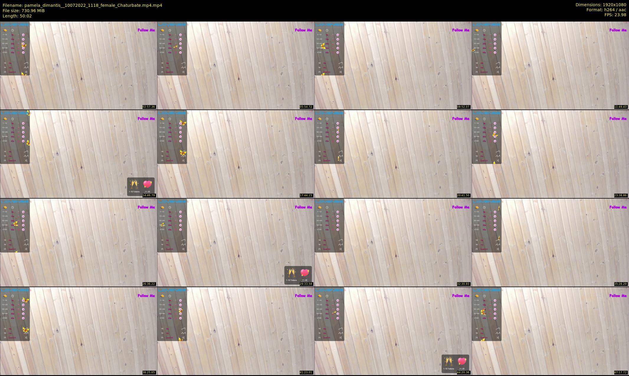 pamela_dimantis_ — 51 minute Chaturbate female cam show recording, 1080p, Jul 10, 2022