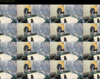 dirtyprettyboi — 33 minute Chaturbate male cam show recording, 720p, Jul 13, 2022