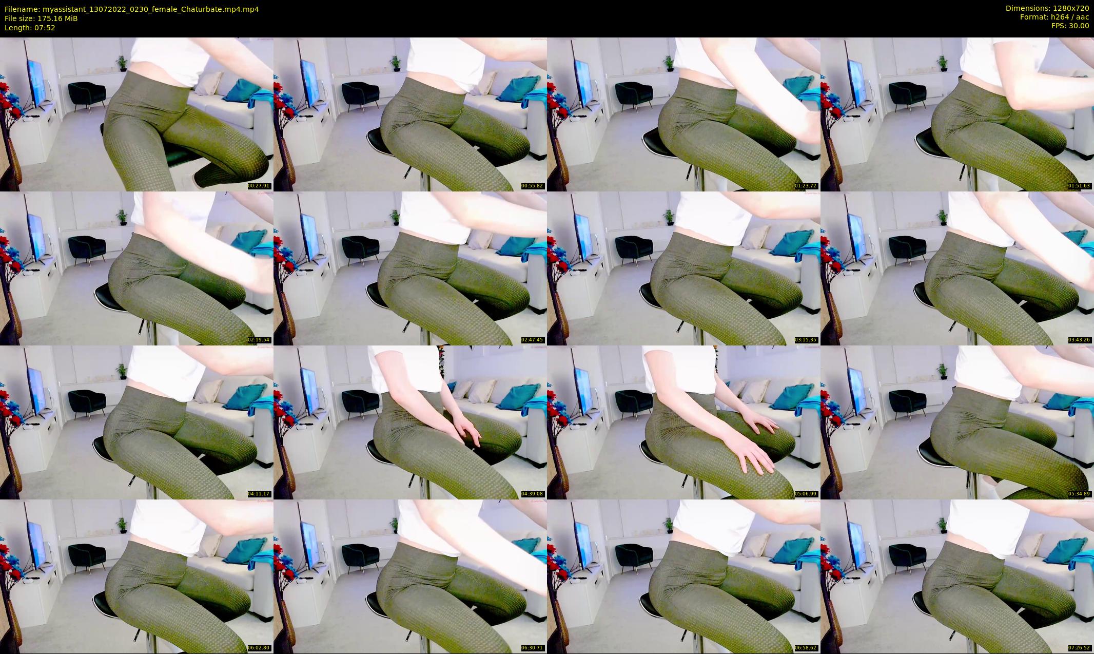 myassistant — 8 minute Chaturbate female cam show recording, 720p, Jul 13, 2022