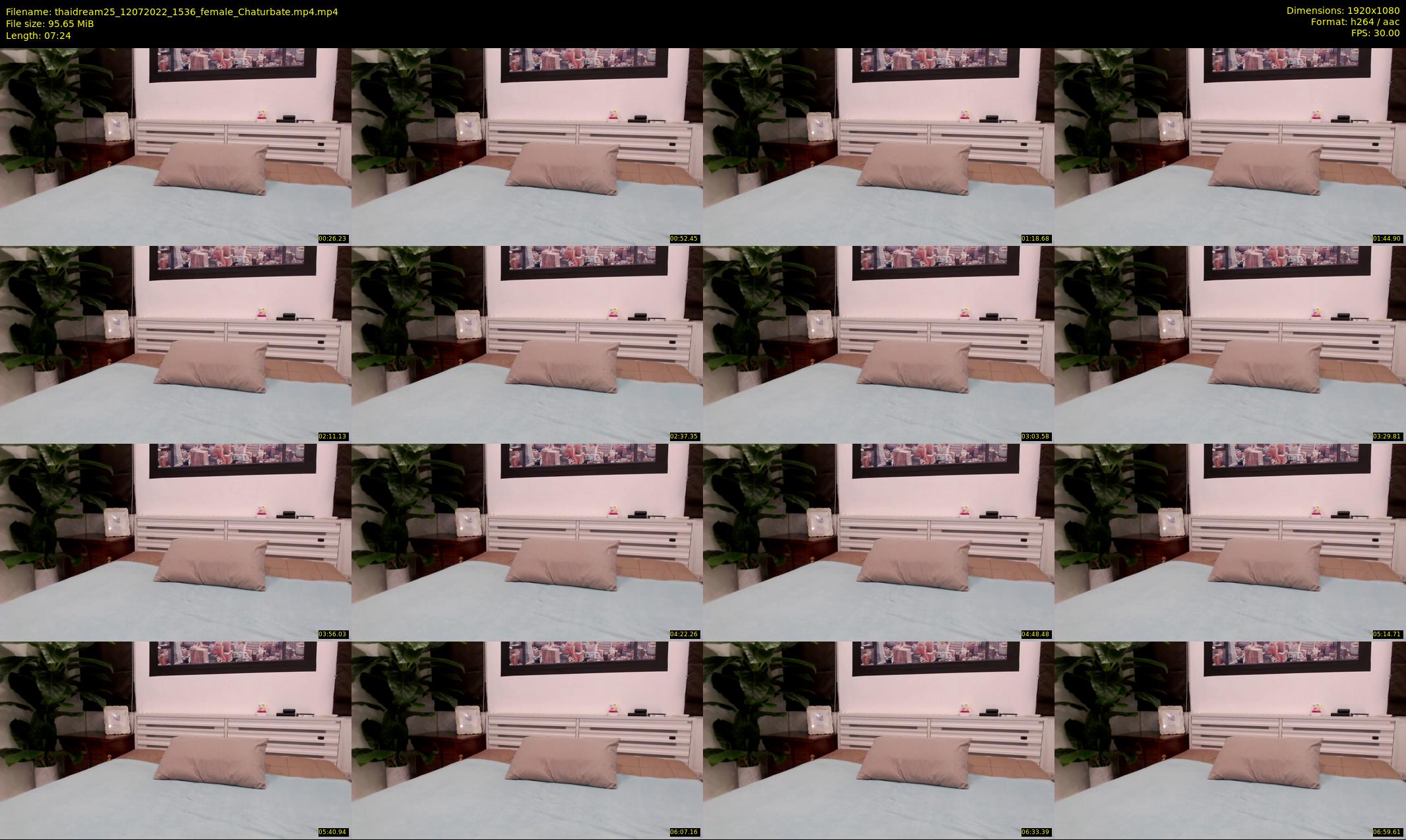 thaidream25 — 8 minute Chaturbate female cam show recording, 1080p, Jul 12, 2022