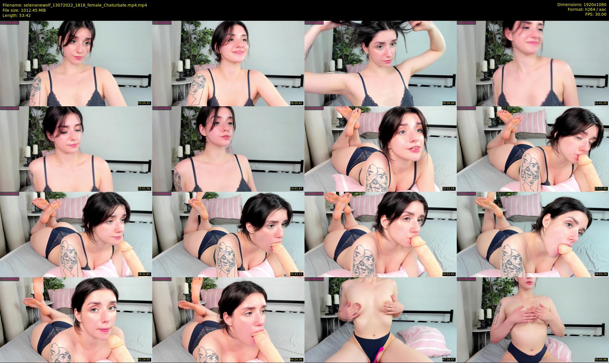 selenanewolf — 54 minute Chaturbate couple cam show recording, 1080p, Jul 13, 2022