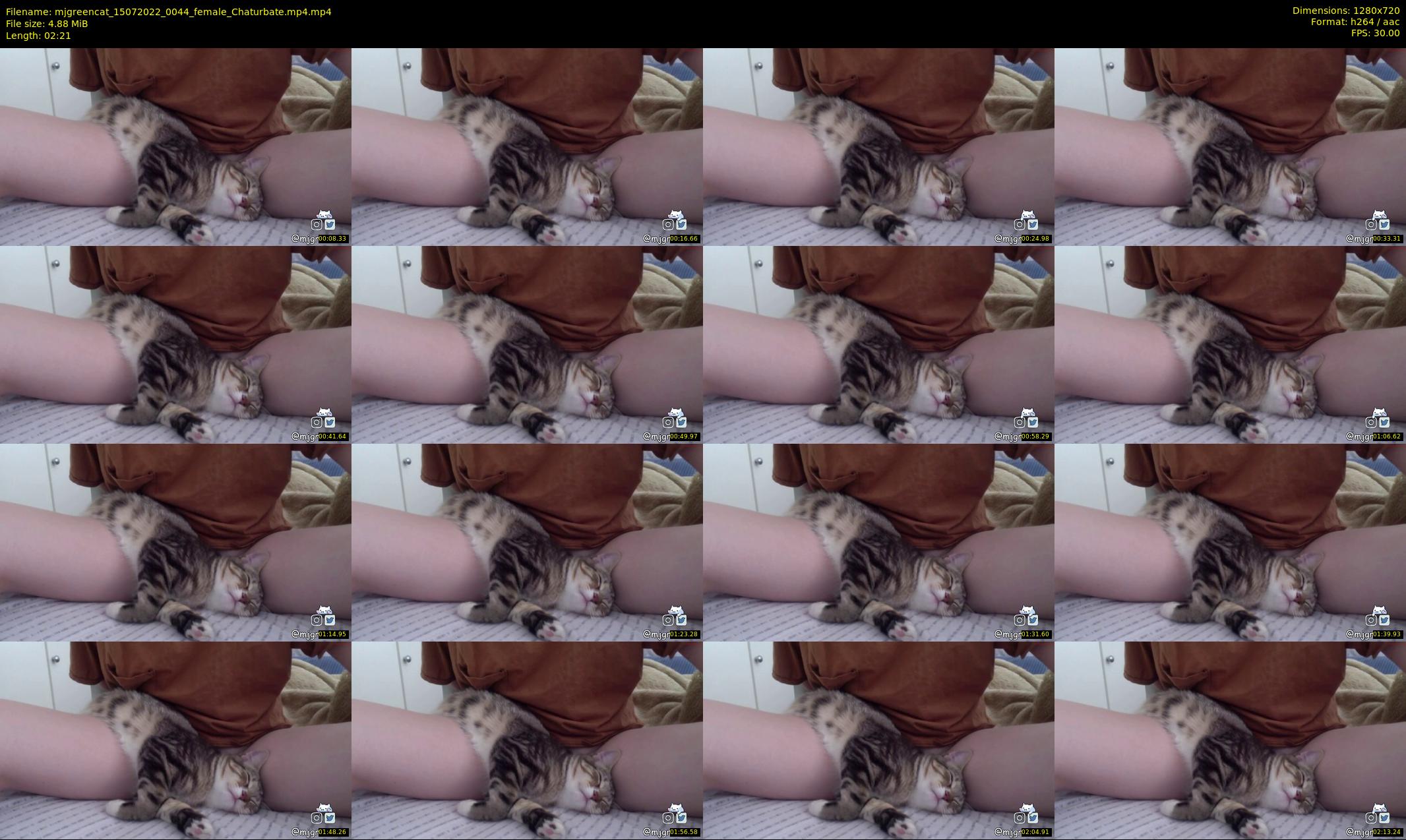 mjgreencat — 3 minute Chaturbate female cam show recording, 720p, Jul 15, 2022