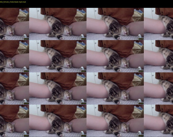 mjgreencat — 3 minute Chaturbate female cam show recording, 720p, Jul 15, 2022