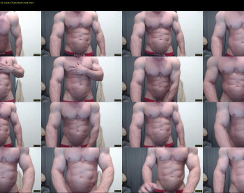 andry_dick — 10 minute Chaturbate male cam show recording, 720p, Jul 16, 2022