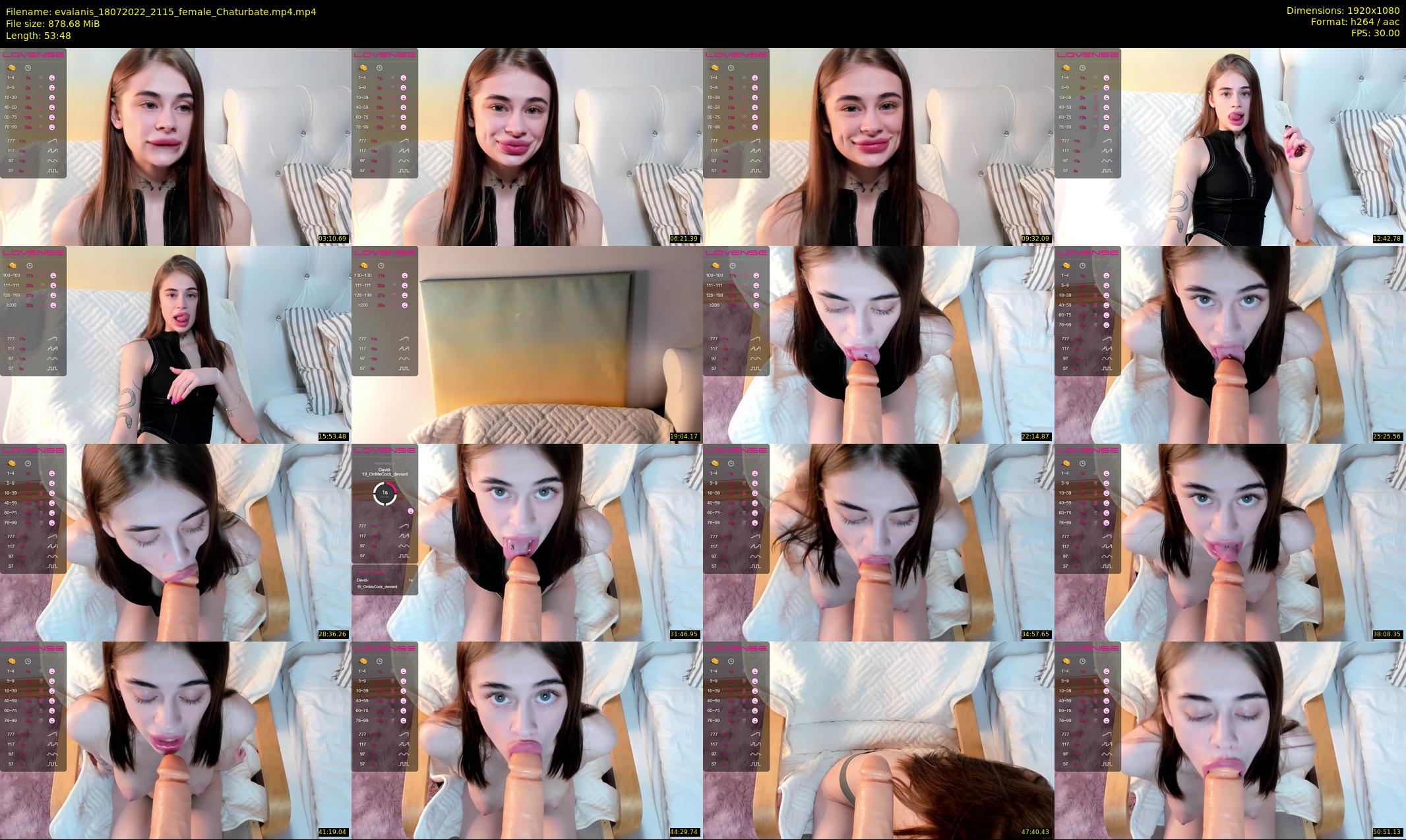 evalanis — 54 minute Chaturbate couple cam show recording, 1080p, Jul 18, 2022