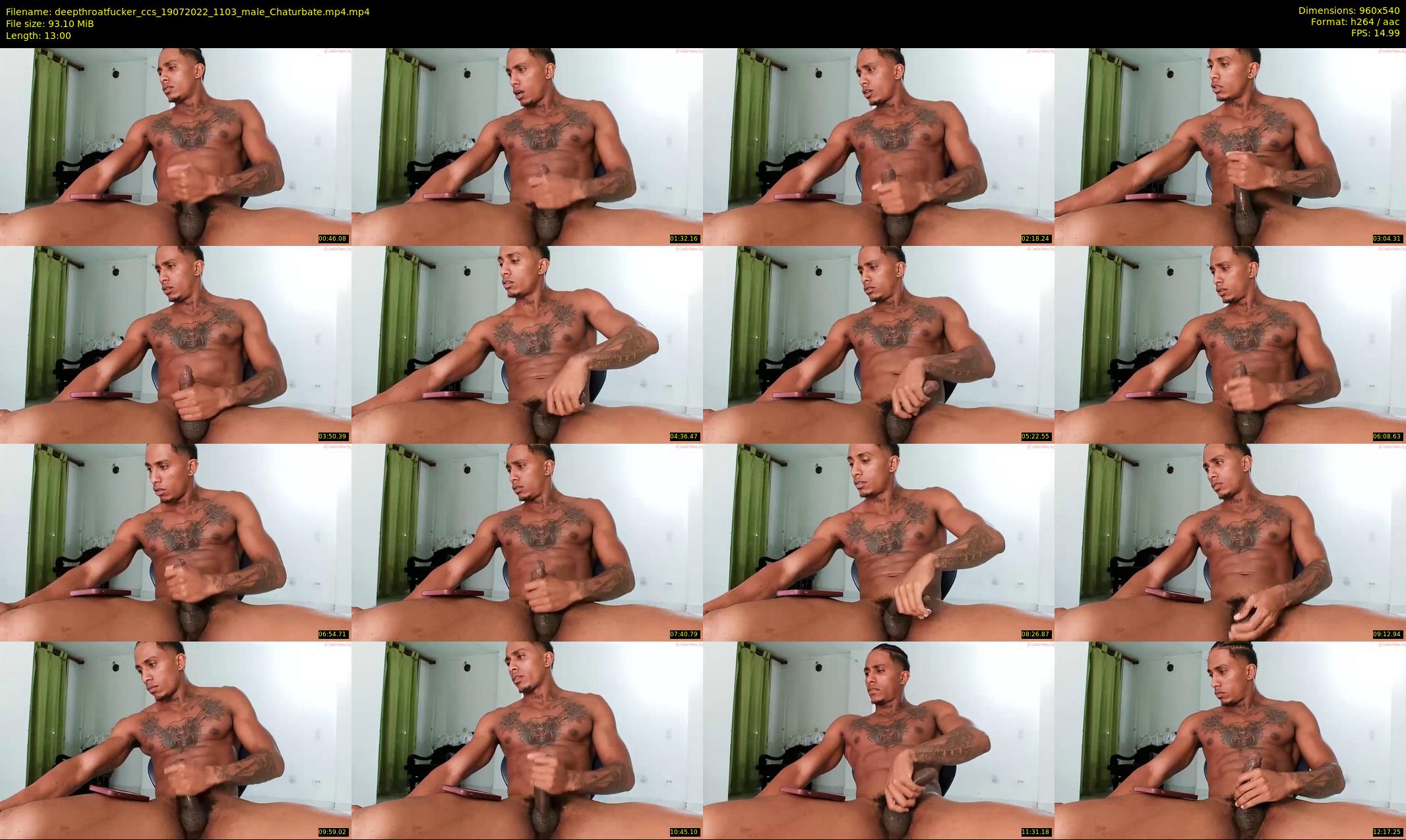 deepthroatfucker_ccs — 13 minute Chaturbate male cam show recording, 480p, Jul 19, 2022