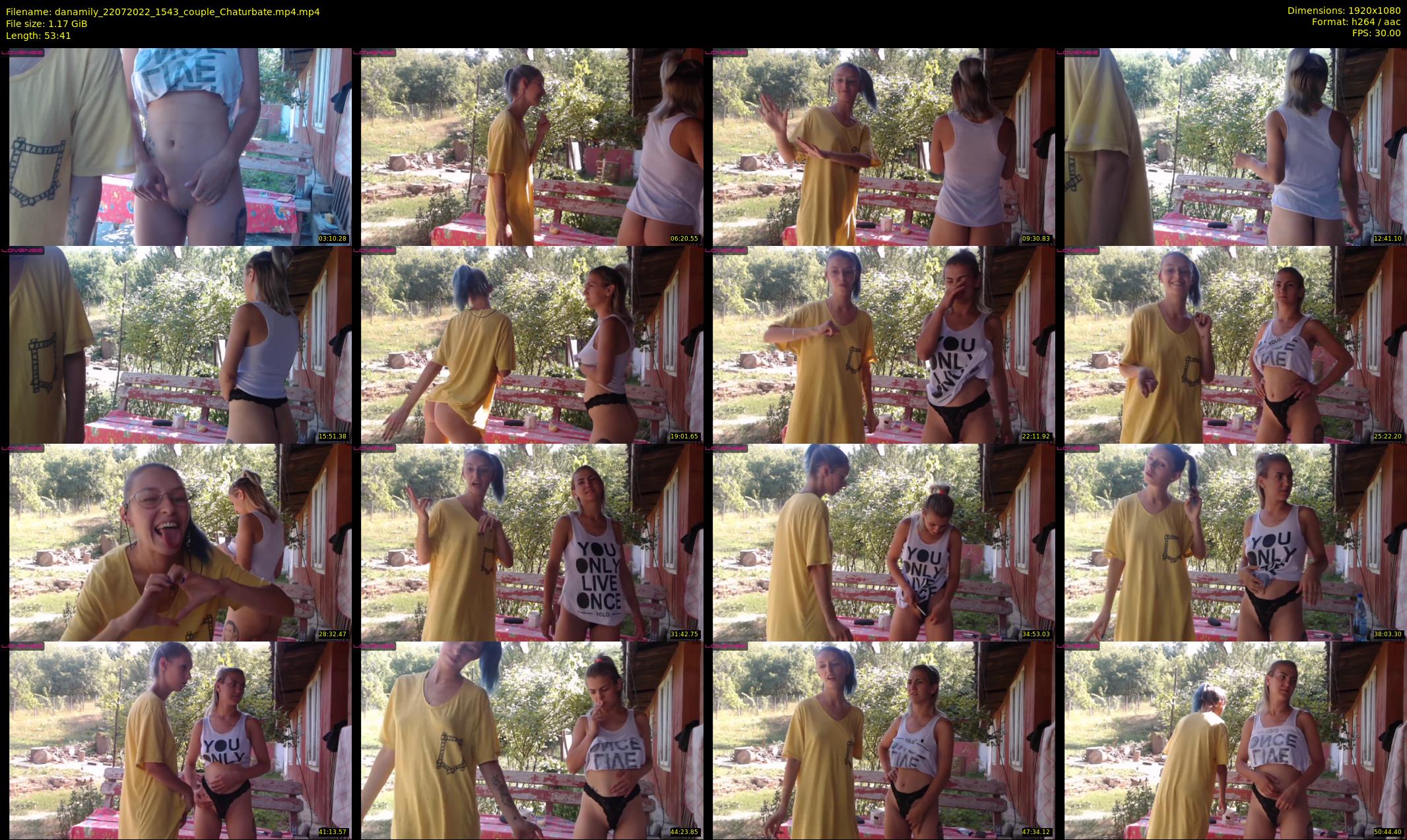 danamily — 54 minute Chaturbate female cam show recording, 1080p, Jul 22, 2022