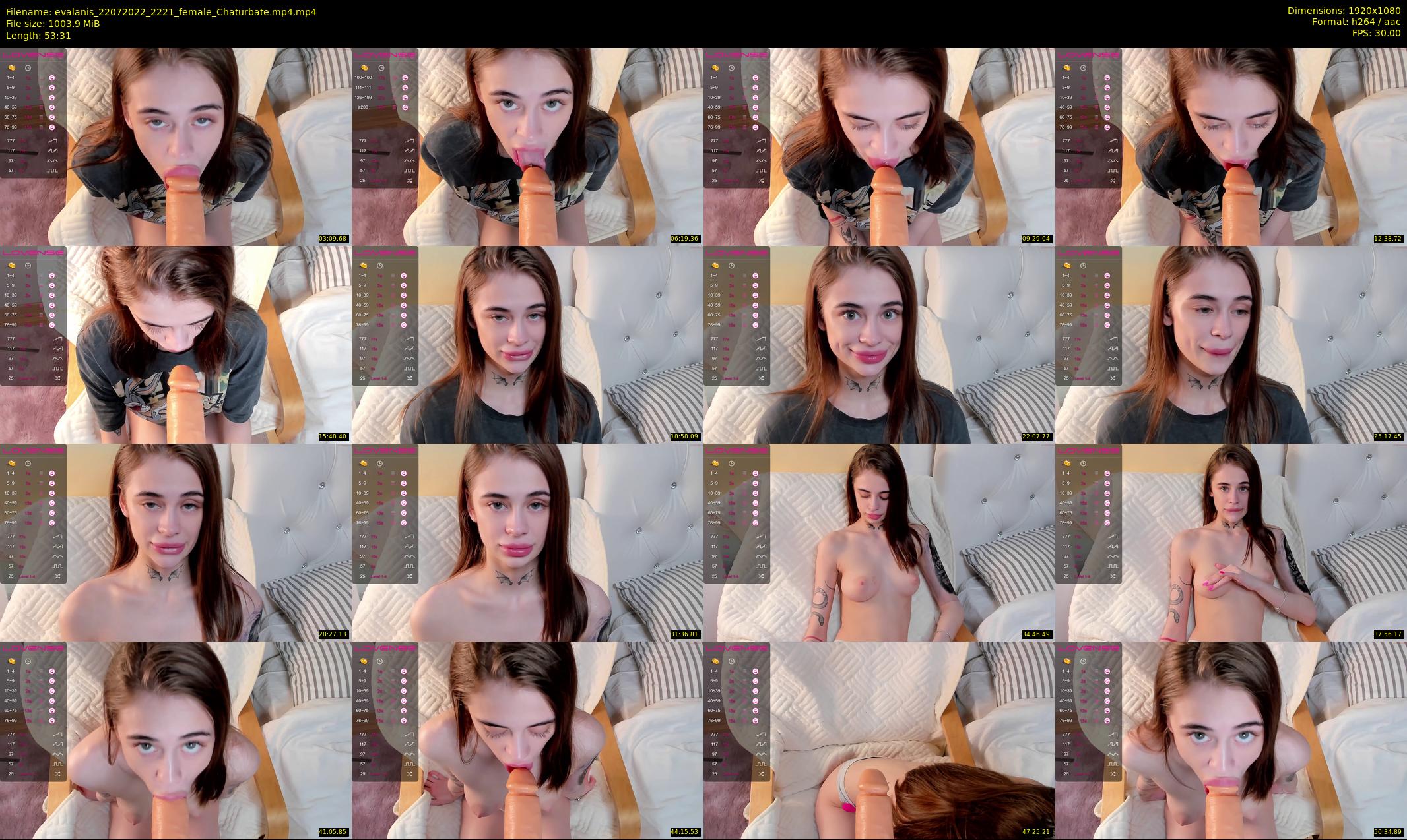 evalanis — 54 minute Chaturbate couple cam show recording, 1080p, Jul 22, 2022