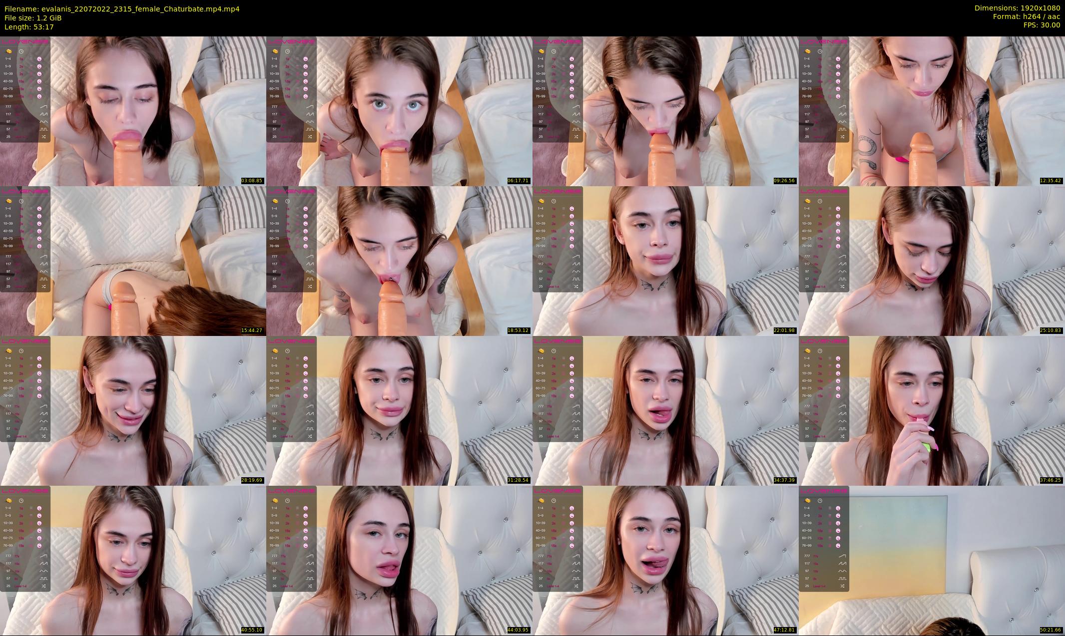 evalanis — 54 minute Chaturbate couple cam show recording, 1080p, Jul 22, 2022