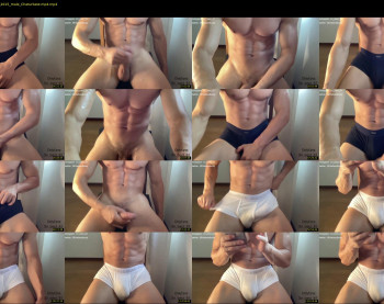 bestdick1991 — 91 minute Chaturbate male cam show recording, 720p, Jul 23, 2022