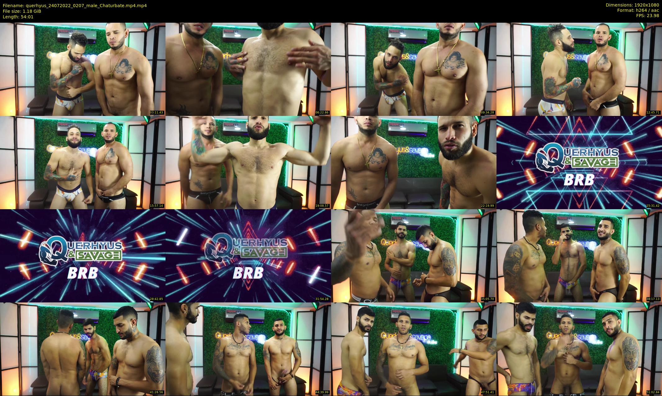 querhyus — 55 minute Chaturbate male cam show recording, 1080p, Jul 24, 2022