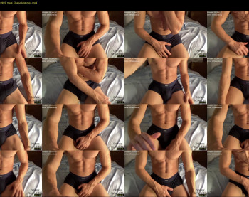 bestdick1991 — 45 minute Chaturbate male cam show recording, 720p, Jul 24, 2022