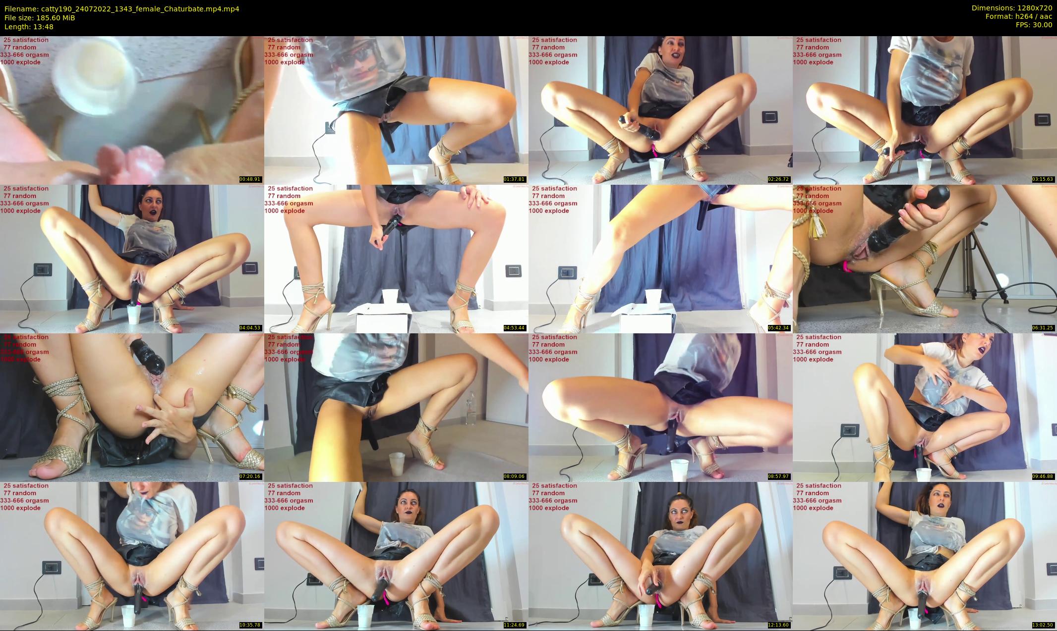 catty190 — 14 minute Chaturbate female cam show recording, 720p, Jul 24, 2022