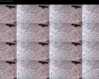 q_t_pie — 9 minute Chaturbate female cam show recording, 1080p, Jul 24, 2022