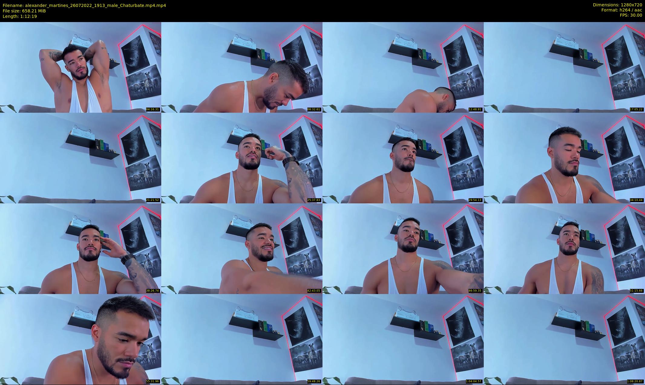 alexander_martines — 73 minute Chaturbate male cam show recording, 720p, Jul 26, 2022