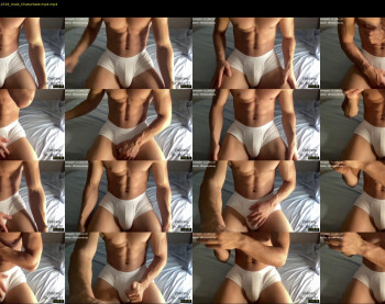 bestdick1991 — 20 minute Chaturbate male cam show recording, 720p, Jul 26, 2022