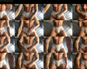 bestdick1991 — 26 minute Chaturbate male cam show recording, 720p, Jul 26, 2022