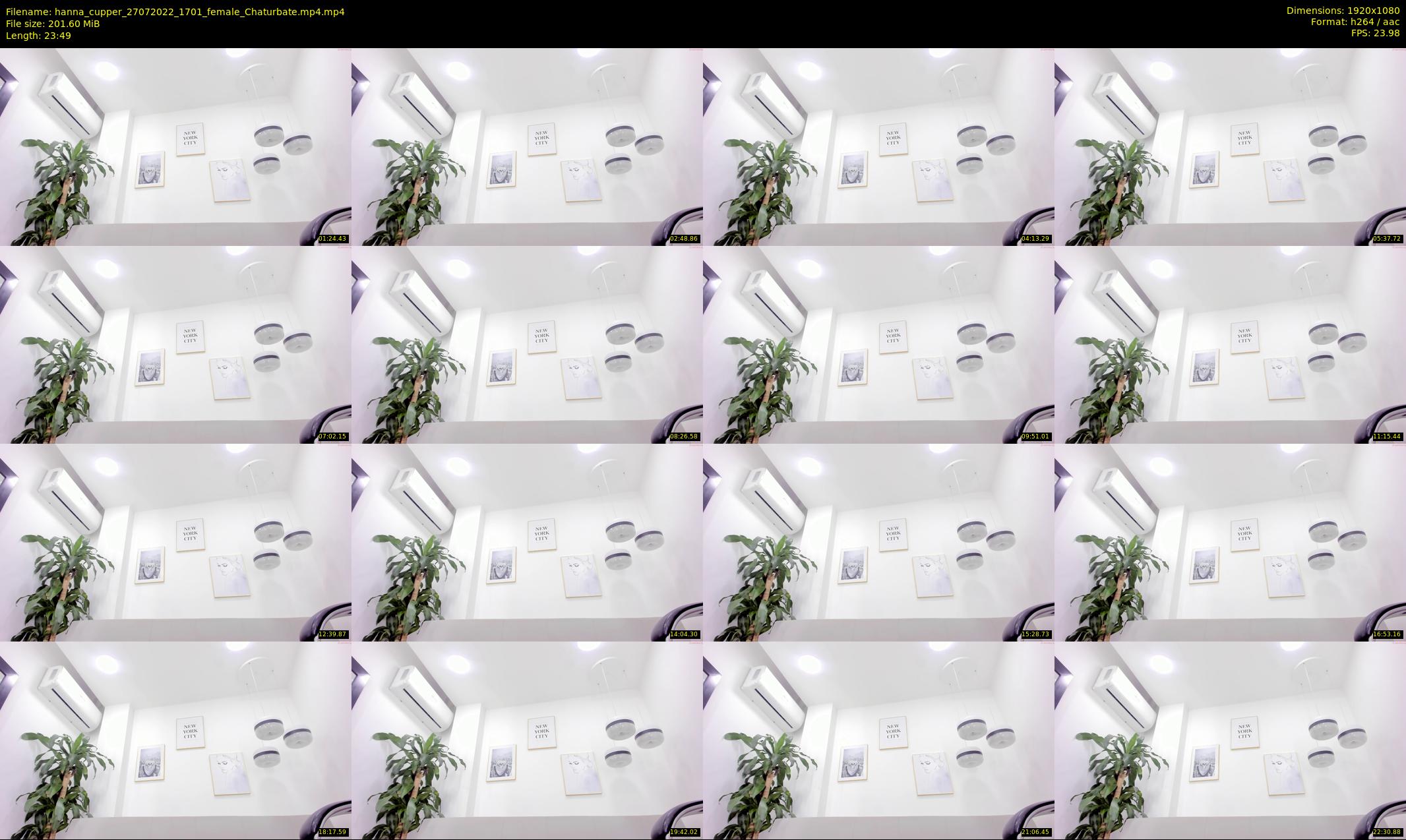 hanna_cupper — 24 minute Chaturbate female cam show recording, 1080p, Jul 27, 2022