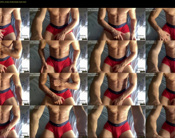 bestdick1991 — 4 minute Chaturbate male cam show recording, 720p, Jul 29, 2022