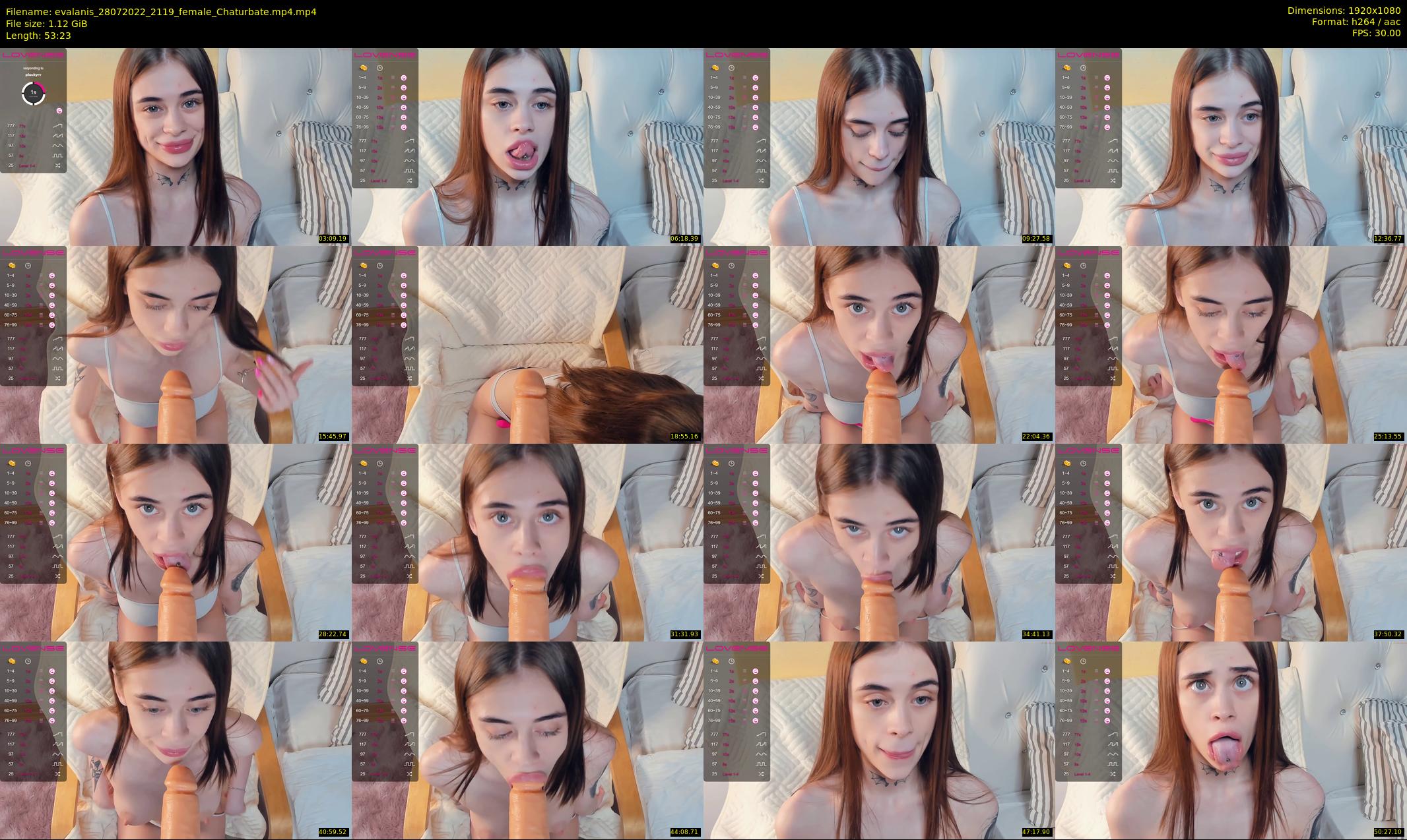 evalanis — 54 minute Chaturbate couple cam show recording, 1080p, Jul 28, 2022