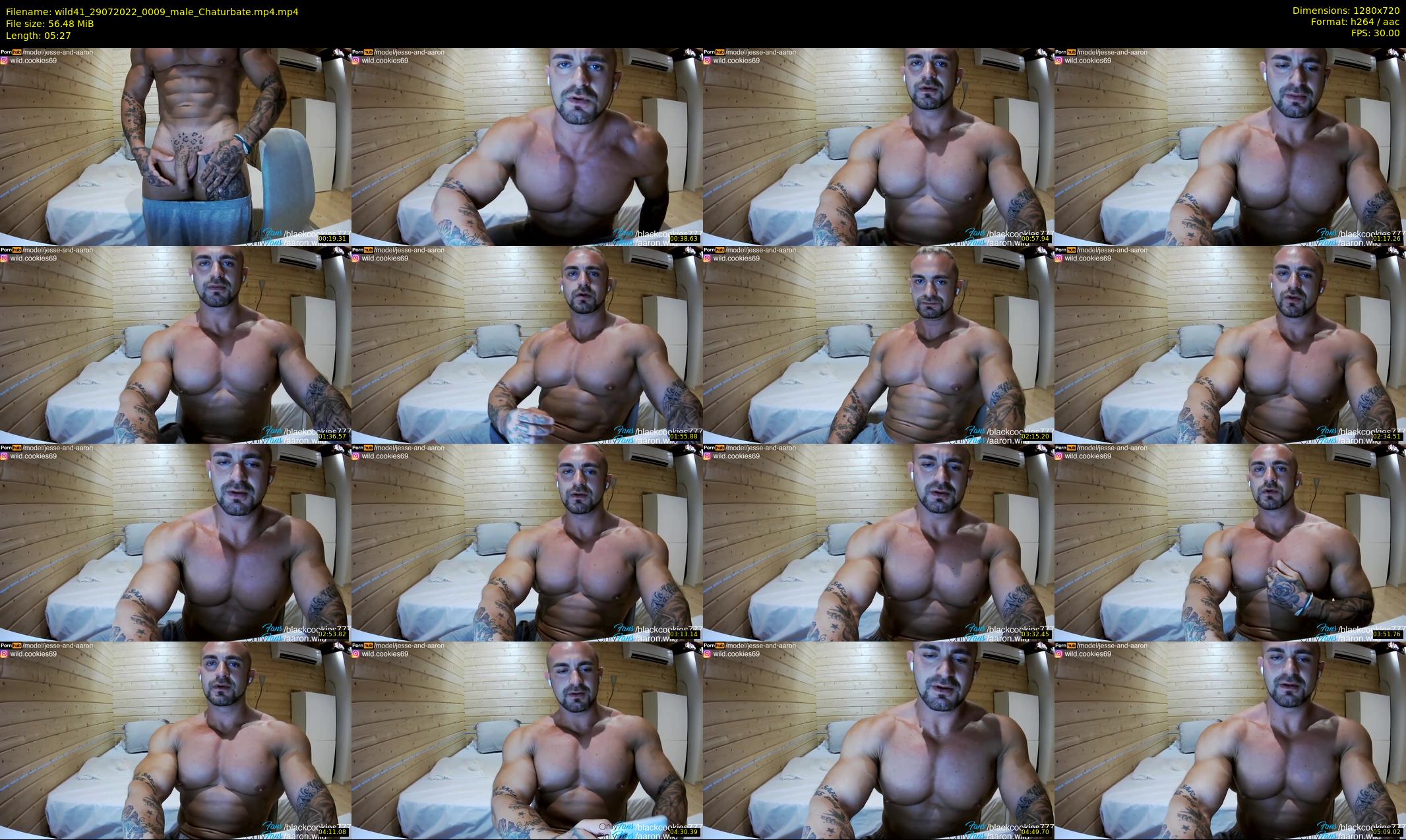 wild41 — 6 minute Chaturbate couple cam show recording, 720p, Jul 29, 2022
