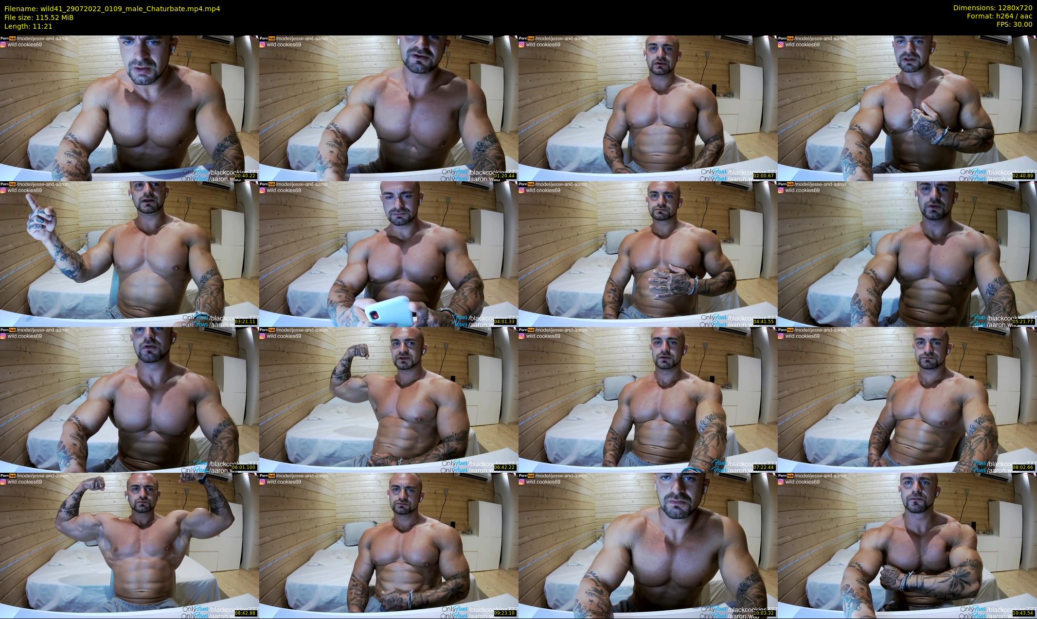 wild41 — 12 minute Chaturbate couple cam show recording, 720p, Jul 29, 2022