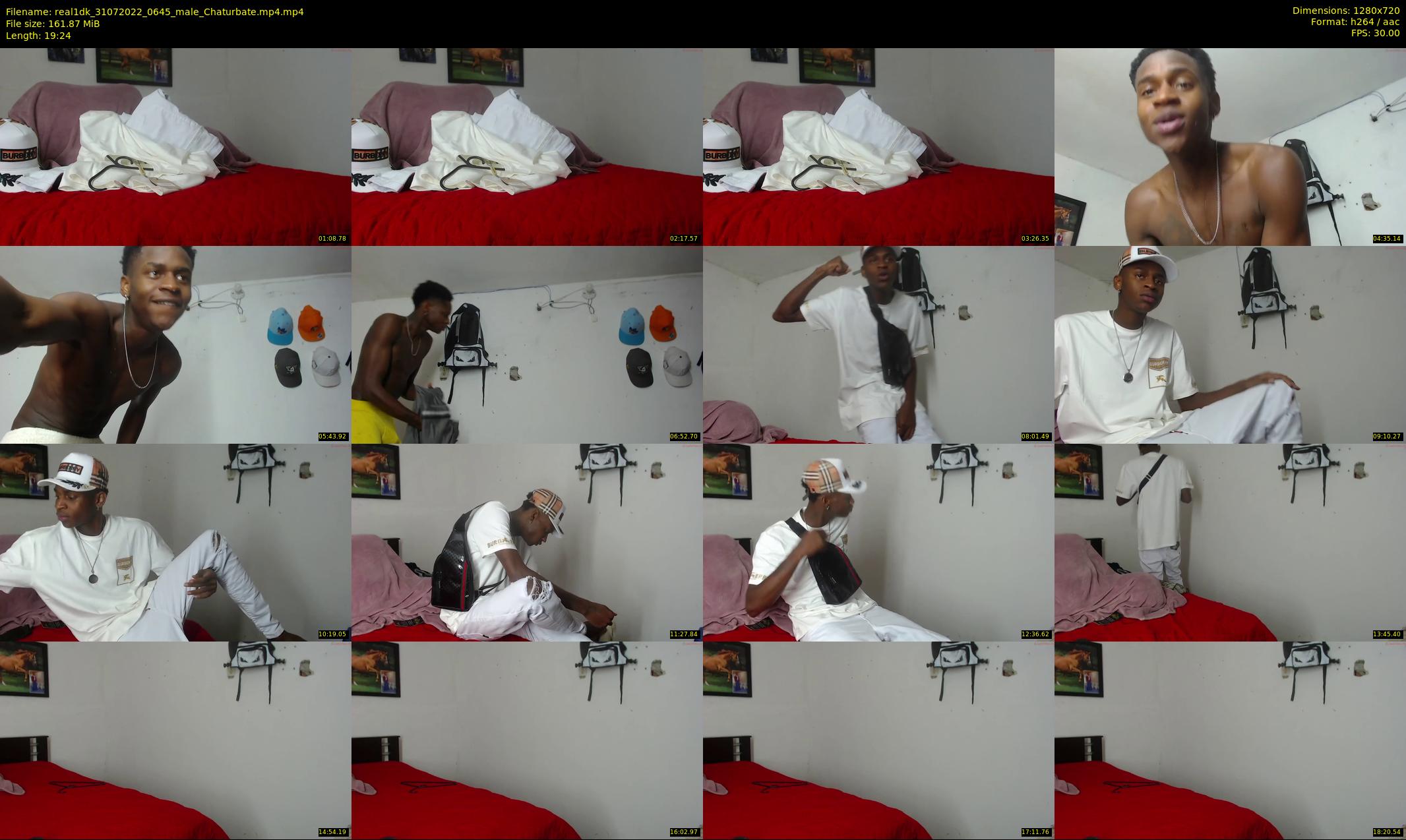 real1dk — 20 minute Chaturbate male cam show recording, 720p, Jul 31, 2022