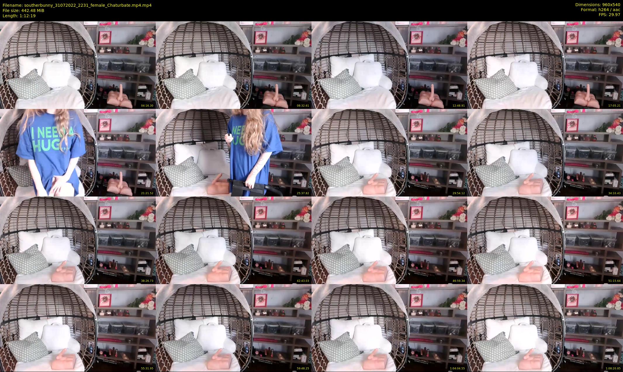 southerbunny — 73 minute Chaturbate female cam show recording, 480p, Jul 31, 2022