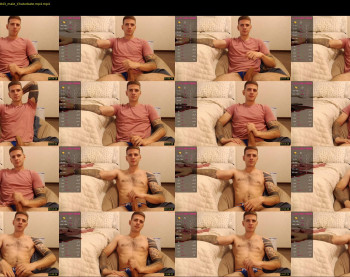 mr_longboy — 17 minute Chaturbate male cam show recording, 720p, Aug 1, 2022