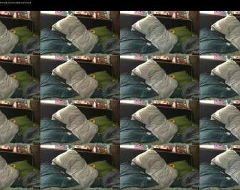 ps4pro — 6 minute Chaturbate female cam show recording, 480p, Aug 2, 2022