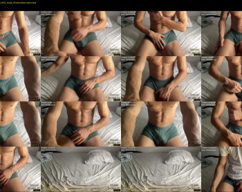 bestdick1991 — 19 minute Chaturbate male cam show recording, 720p, Aug 2, 2022