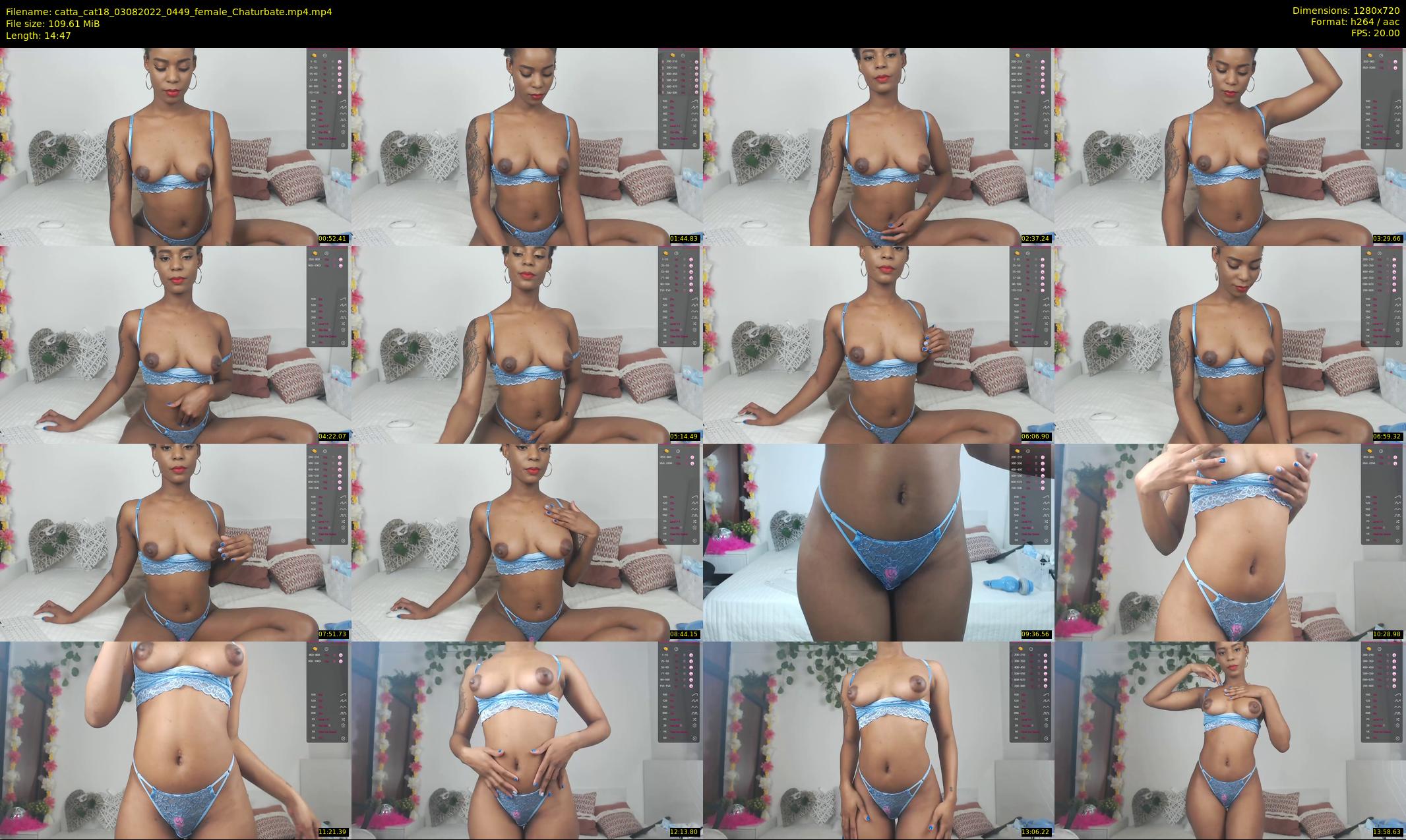 catta_cat18 — 15 minute Chaturbate female cam show recording, 720p, Aug 3, 2022